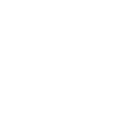 Lunch